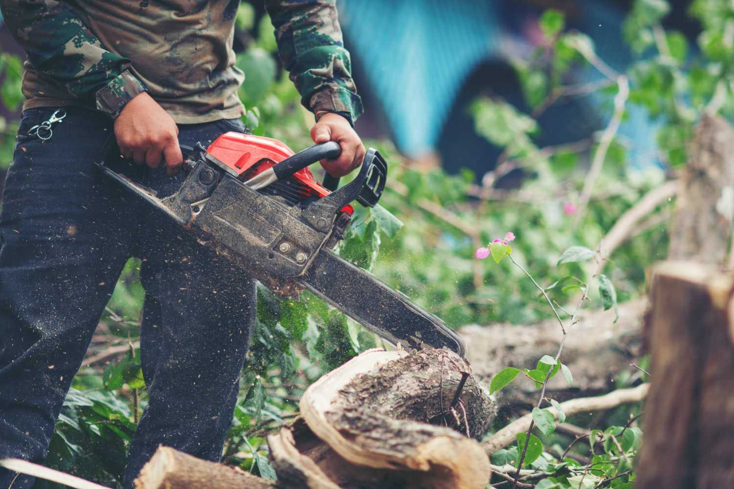 Garden Clearance