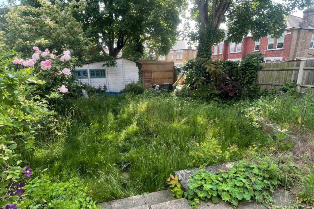 overgrown garden before professional clearance and waste removal services by Green Lads
