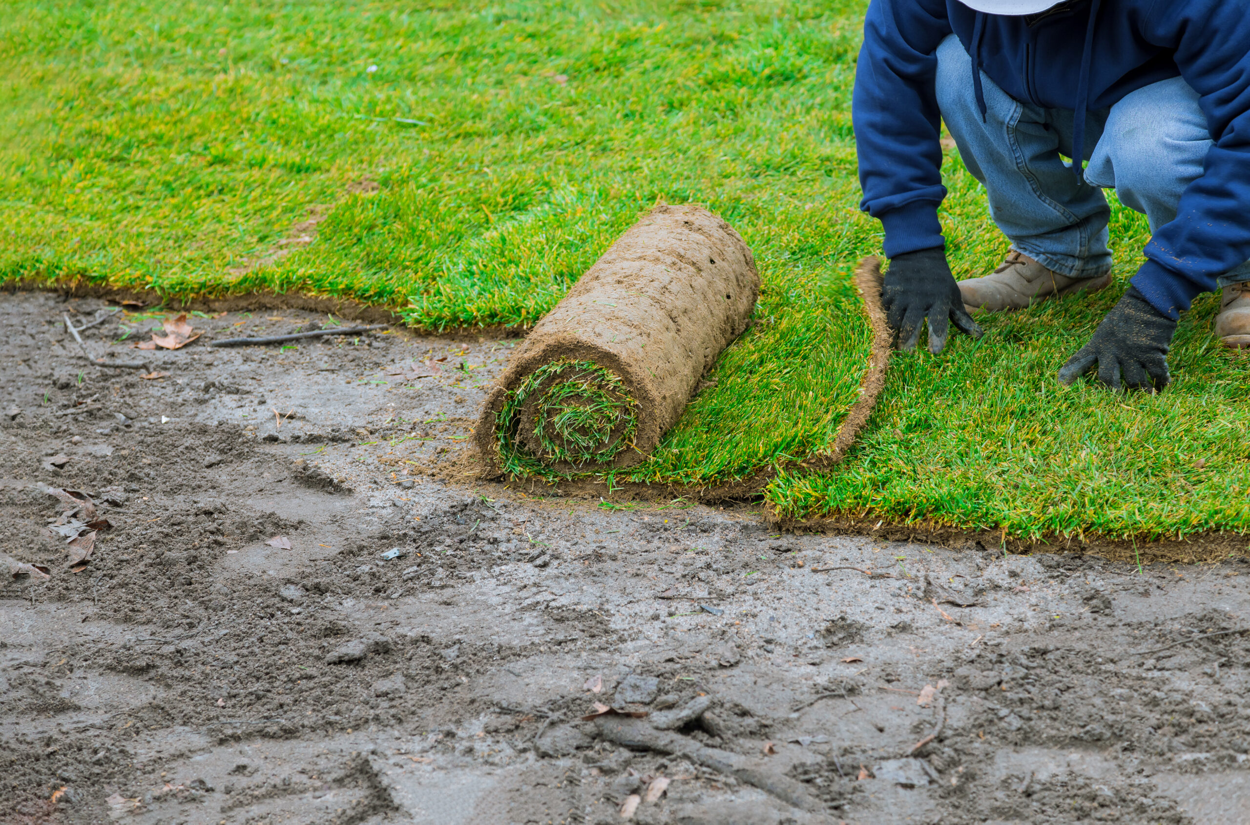 Man Laying Grass Turf Rolls